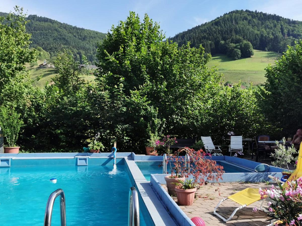 Ferienwohnung Vogelsang Im Schwarzwald Muenstertal Exterior photo