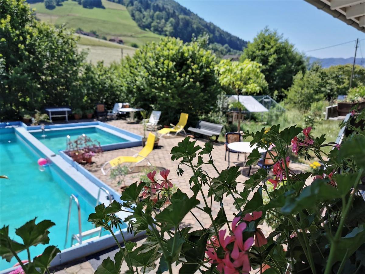 Ferienwohnung Vogelsang Im Schwarzwald Muenstertal Exterior photo