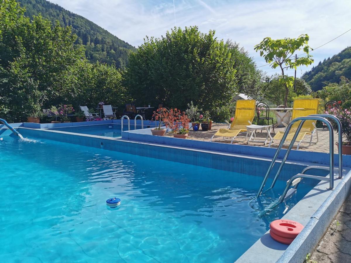Ferienwohnung Vogelsang Im Schwarzwald Muenstertal Exterior photo
