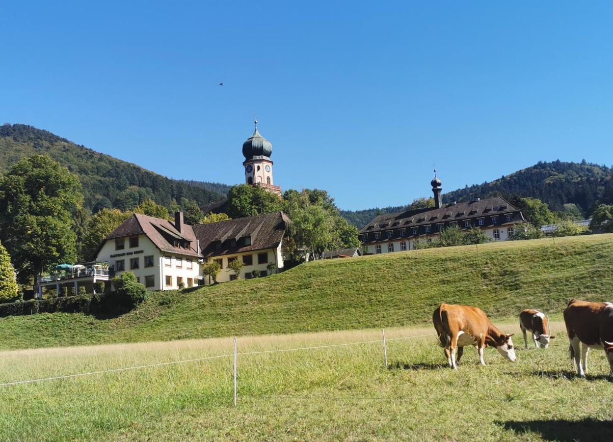 Ferienwohnung Vogelsang Im Schwarzwald Muenstertal Exterior photo