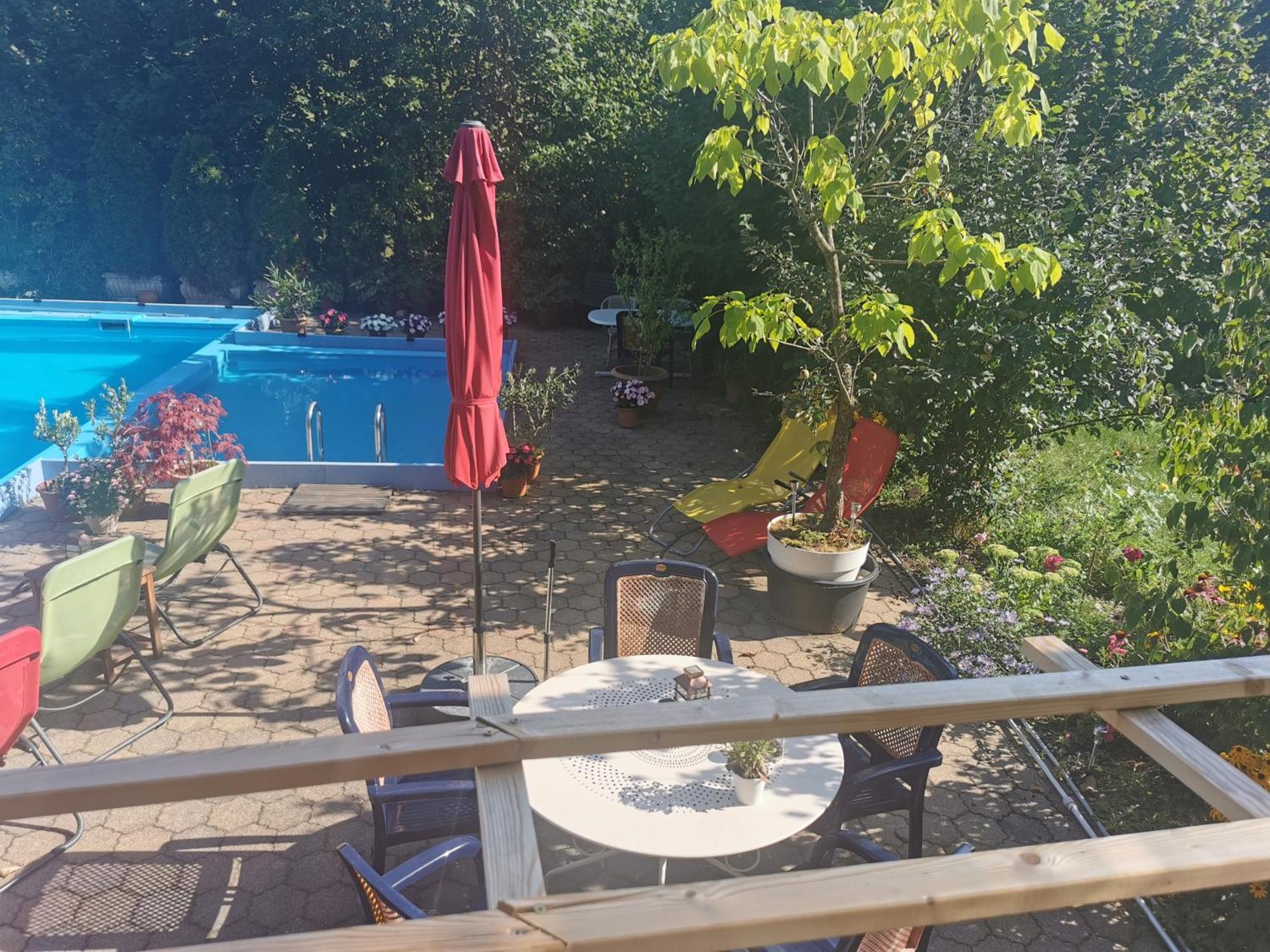 Ferienwohnung Vogelsang Im Schwarzwald Muenstertal Exterior photo